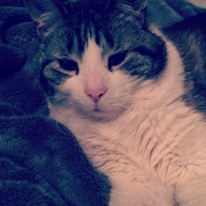 Meet your Posher, Niki